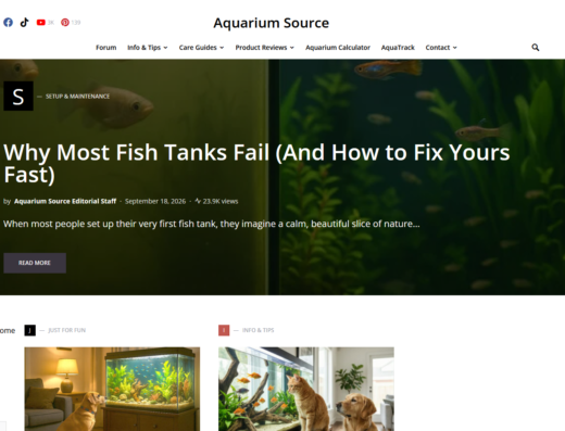 Aquarium Content Business