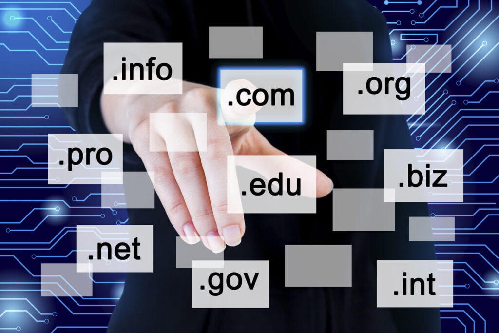 Domain Name System