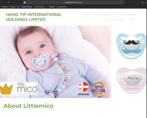 Shopify Store Selling Personalized Baby Pacifiers And Accessories