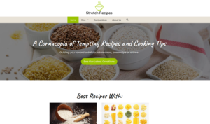 Pinterest-Driven Recipe Content Site with 444 Recipes in the Food Niche