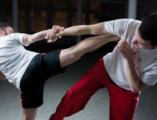 Martial Arts Blog